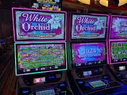 supercash Desierto de Sonora Premium